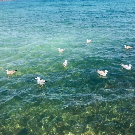 Lora Apartament