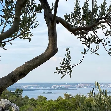 Apartments Villa Lora *