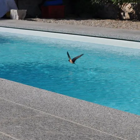Apartments Villa Lora *